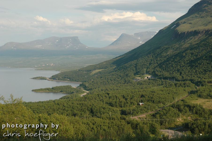 DSC 1353